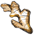 Adrakn