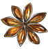 Flowersp