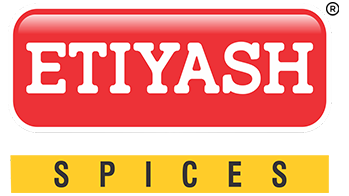 EtiayashLogoWeb